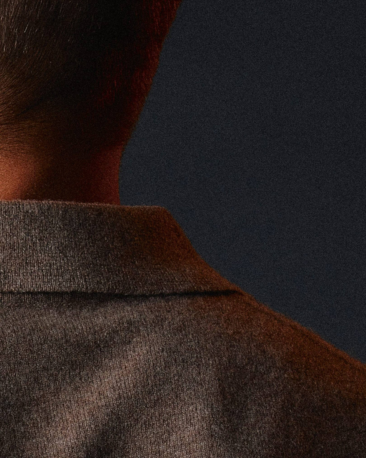 The Cashmere Long Sleeve Polo | brun cashmere polo fra BARONS
