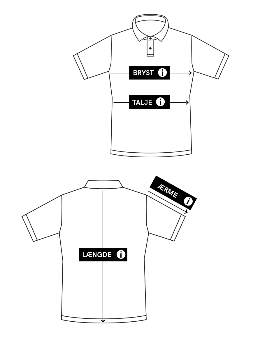 Polo (The Ambassador) measurement